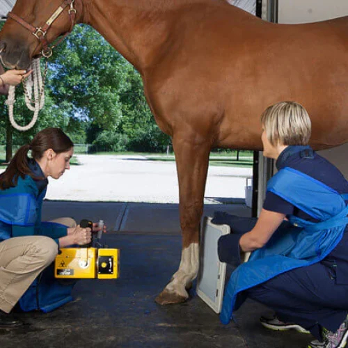 vet-tr90-3-580x440_600x